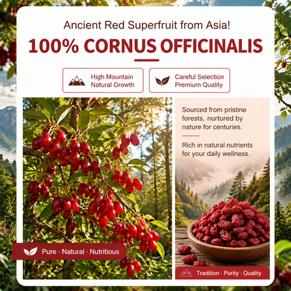 Ancient Red Superfruit ✨ Cornus Officinalis – Your Daily Ritual for Energy, Vitality & Wellness.-OKL