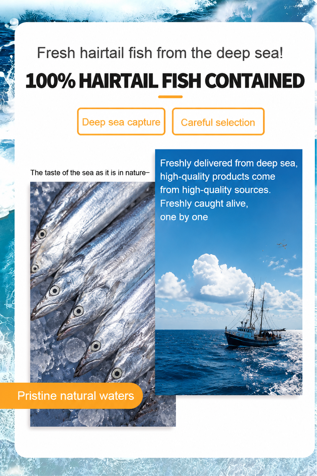 ⭐Premium Crispy Hairtail Fish — A Delicious Seafood Snack From The Deep Sea.-OKL