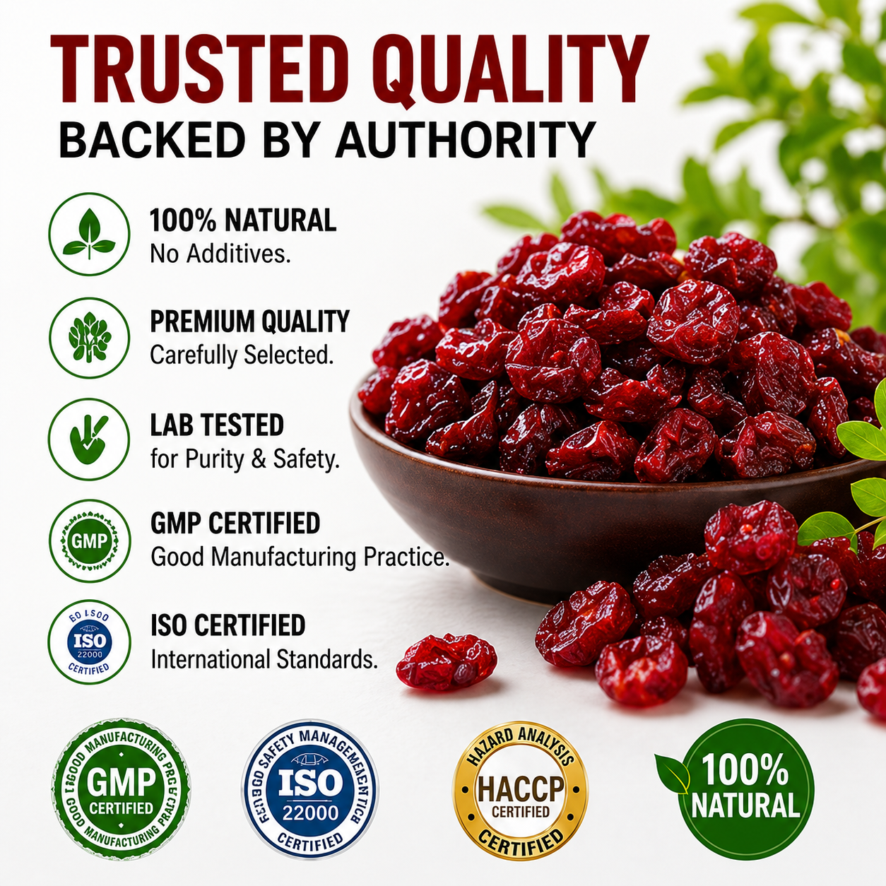 DRIED CRANBERRIES — IGNITE DESIRE. OWN THE NIGHT-ZRT