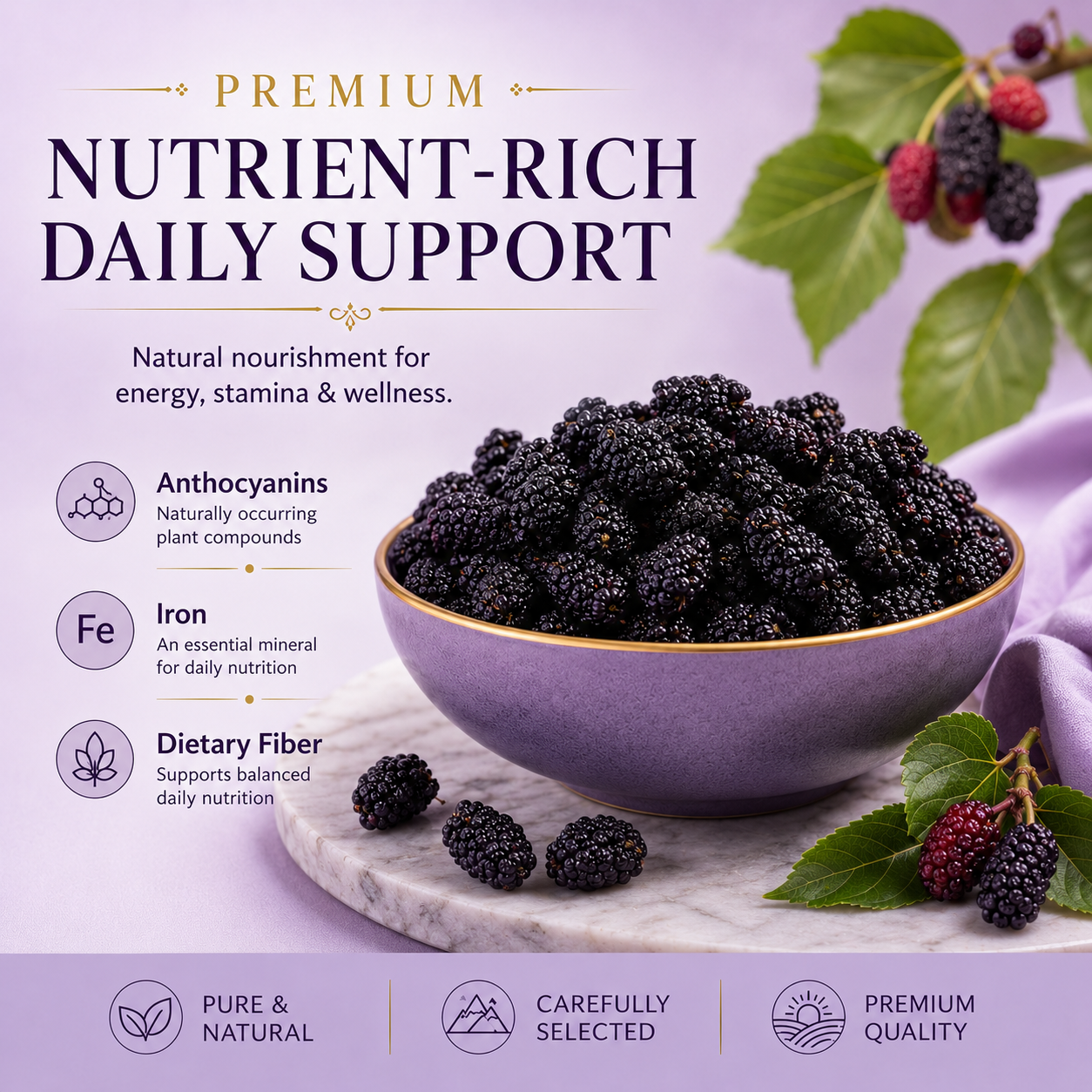 The Ultimate Natural Fuel for Men! Premium Black Mulberries: Revitalize Your Core Energy from Within.-QZZ
